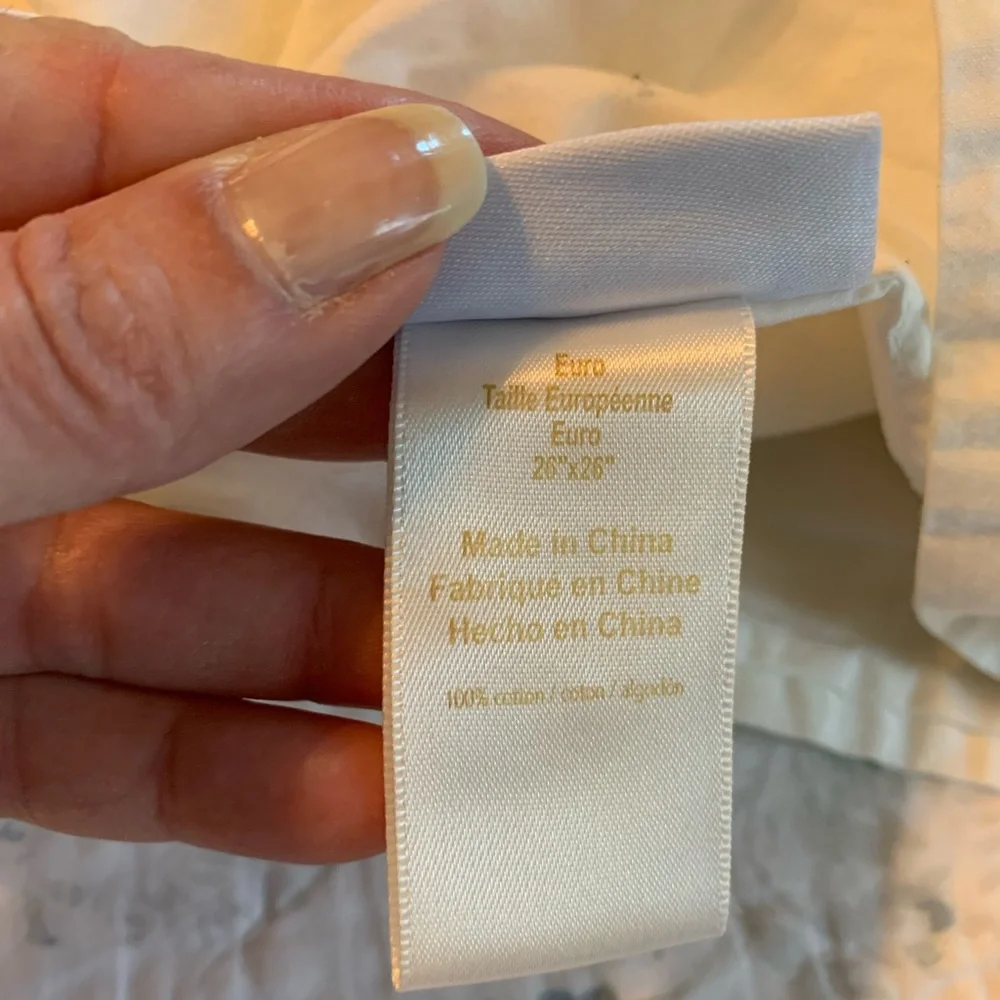 Pottery Barn Emily & Merritt  Euro sham